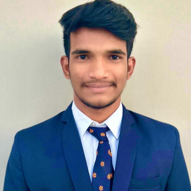 Babysitter in Vitry-sur-Seine: Sai Sreenivas