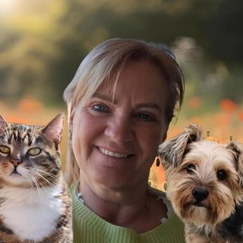 Babysitter Nieuwpoort: Julie