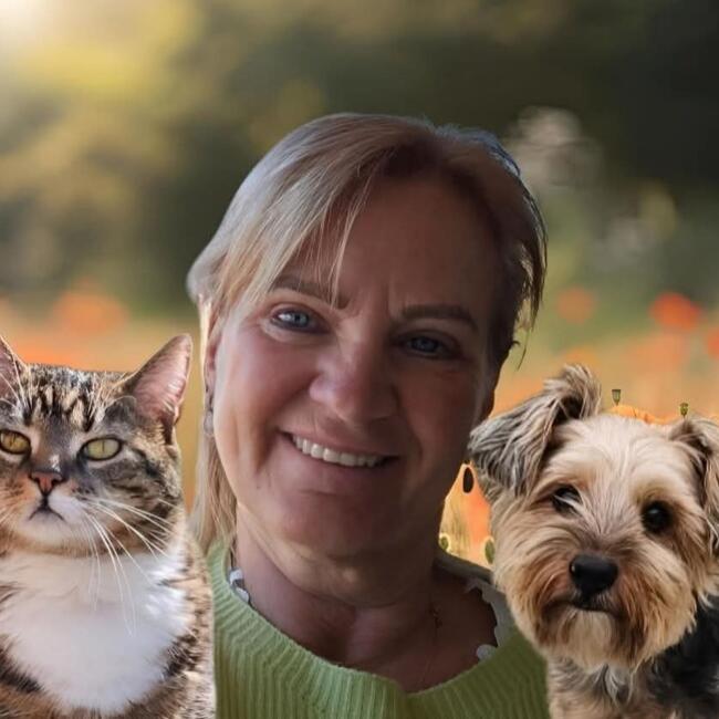 Babysitter in Nieuwpoort: Julie