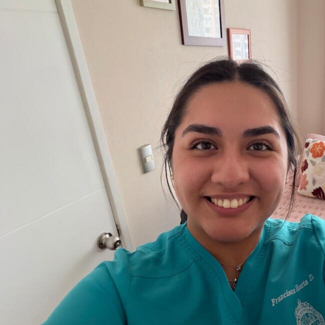 Babysitter in Santiago: Francisca