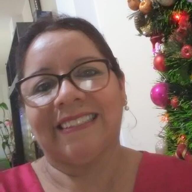 Babysitter in San Isidro: Vilma Marlene