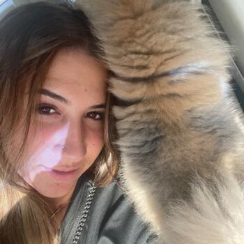 Babysitter in Bristol: Tamara