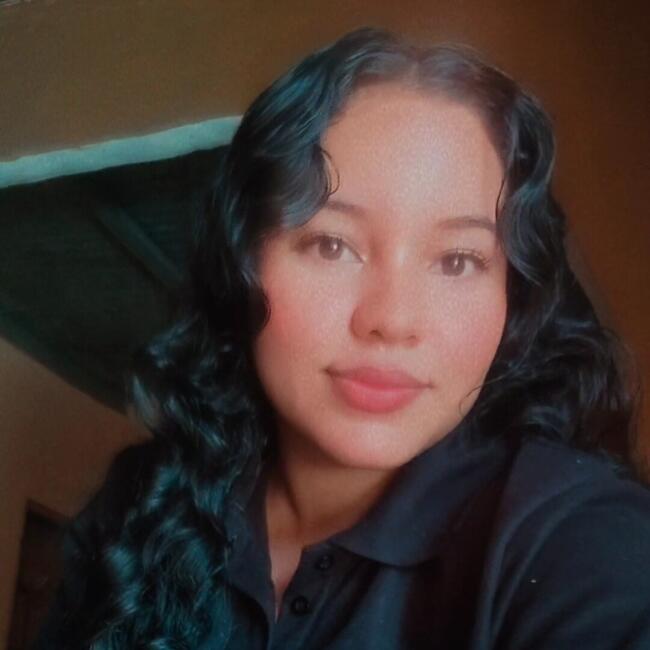 Babysitter in Santiago: Alexa