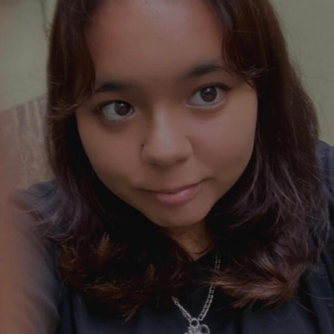 Babysitter in Arica: Francisca