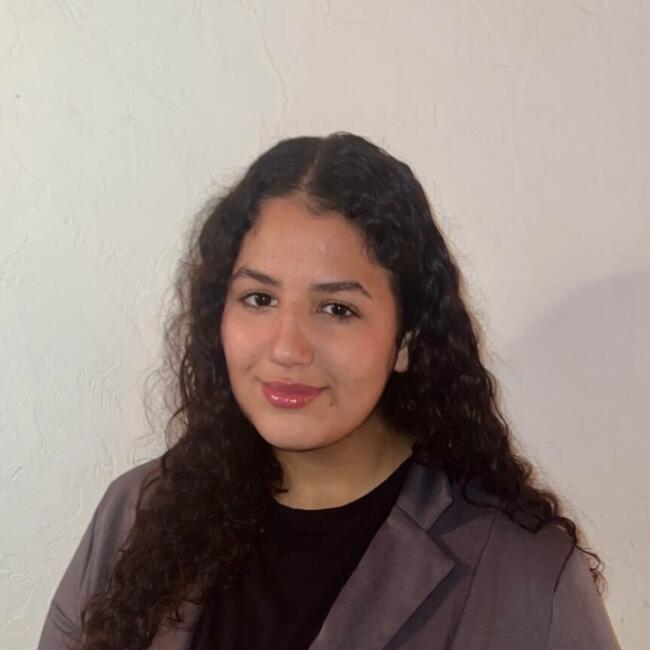 Babysitter in Paris: Meissane