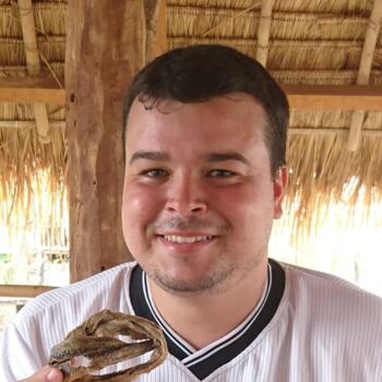 Babysitting job in Curitiba: babysitting job Guilherme