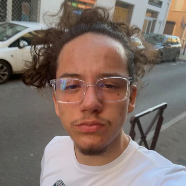 Babysitter in Villeurbanne: Mathis
