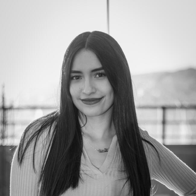 Babysitter in Antofagasta: Camila