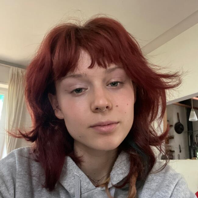 Babysitter in Bedero Valcuvia: Elisabetta