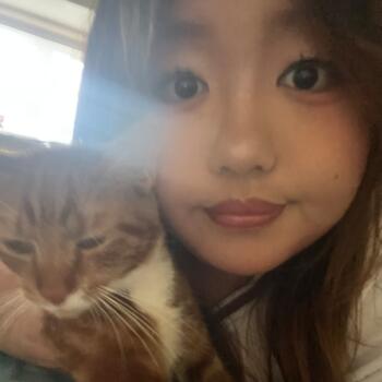 Babysitter in New York: Dailing