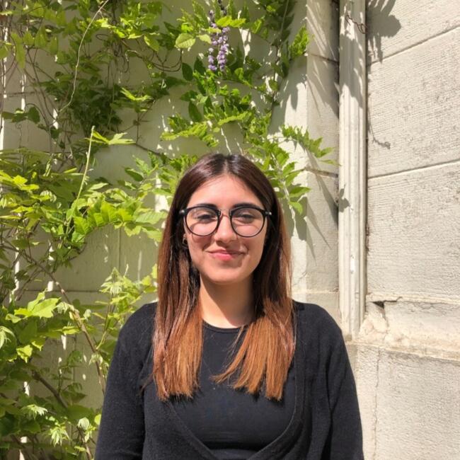 Babysitter in Viña del Mar: Crystal