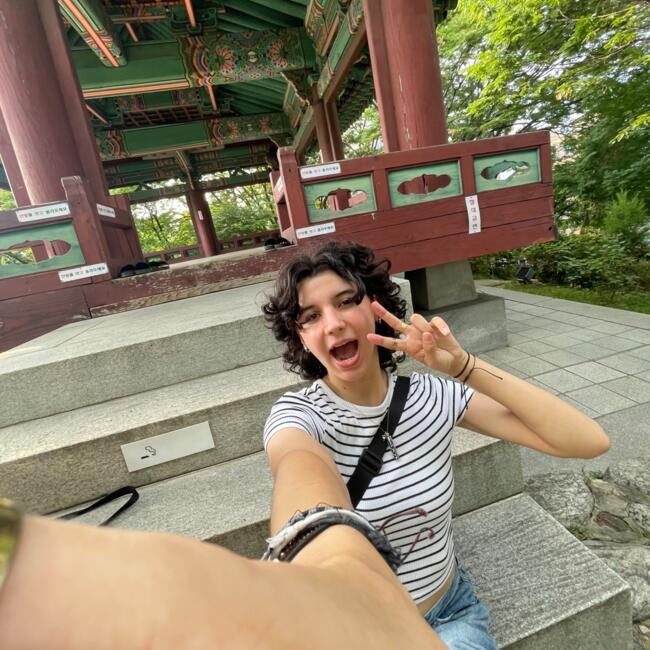 Babysitter in Charleroi: Sarah