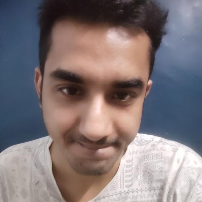दिल्ली में बेबीसिटर: Apoorve