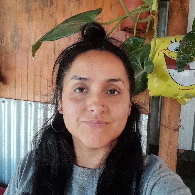 Babysitter in Concepción: Georgina Andrea Vega Novoa