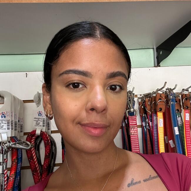 Babysitter in Rio de Janeiro: Sara Bullé