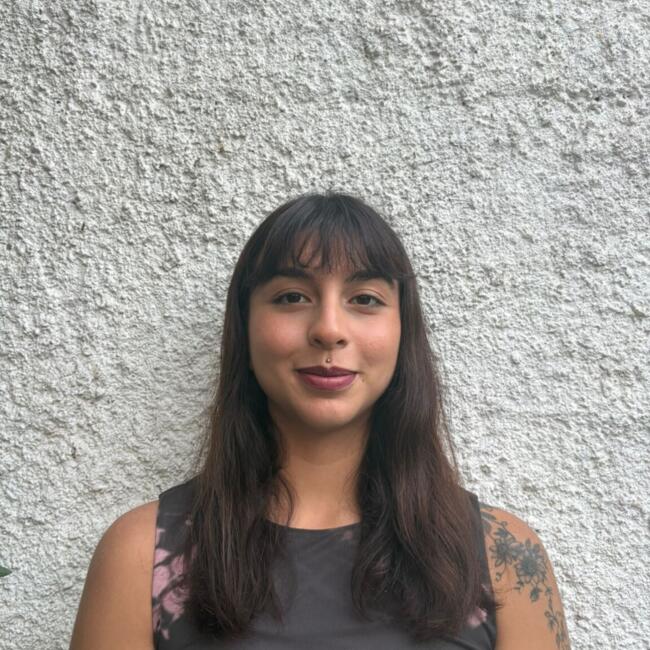 Niñera en Santiago de Chile: Catalina Román López