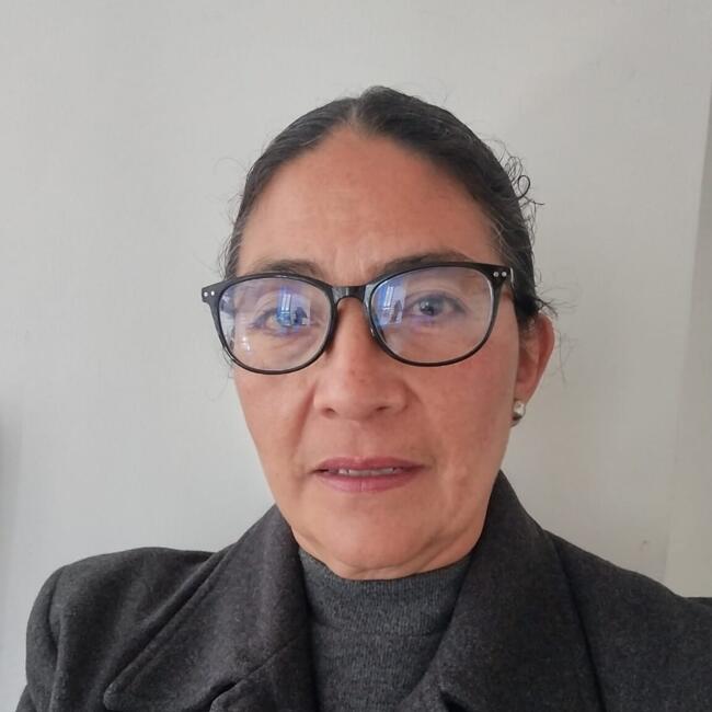 Babysitter in Apizaco: María del Carmen