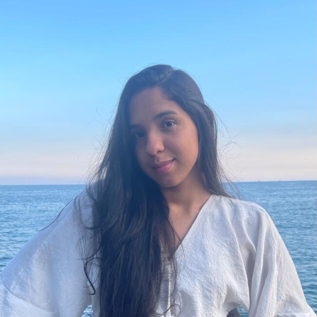 Babysitter in Boissy-Saint-Léger: Roseane