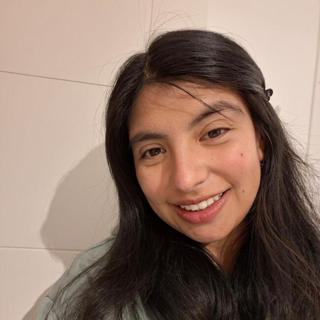 Babysitter in Temuco: Paula