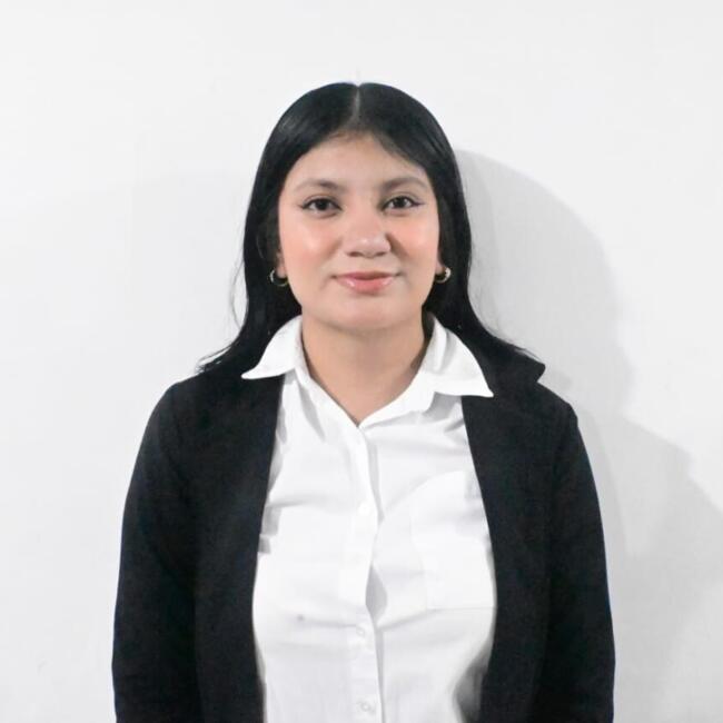 Babysitter in San Luis Potosí City: Flor Maria