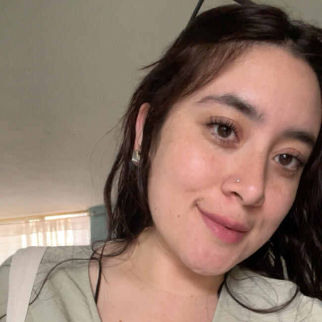 Babysitting job in Mexico City: Yared