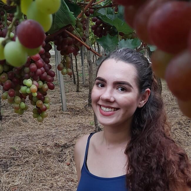 Babysitter in Bento Gonçalves: Joiceane