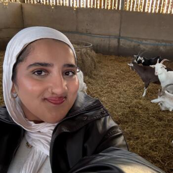 Babysitter in Wolverhampton: Irrej