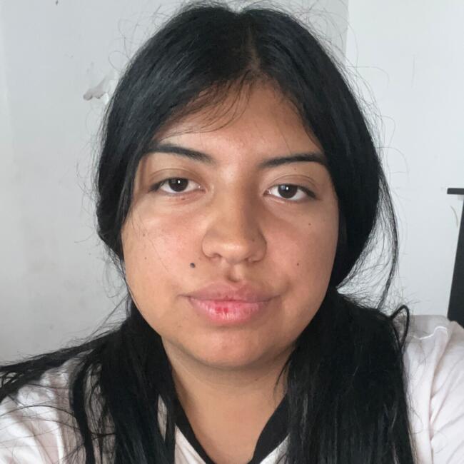 Babysitter in Coquimbo: Anita