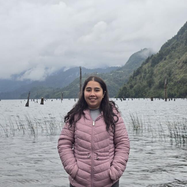 Babysitter in Talca: Jenifer Figueroa