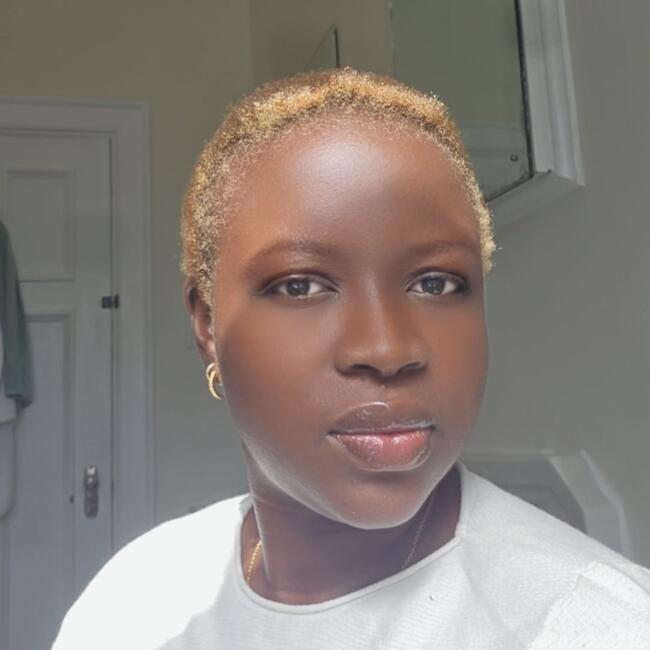 Babysitter in Ottawa: Oluwatosin