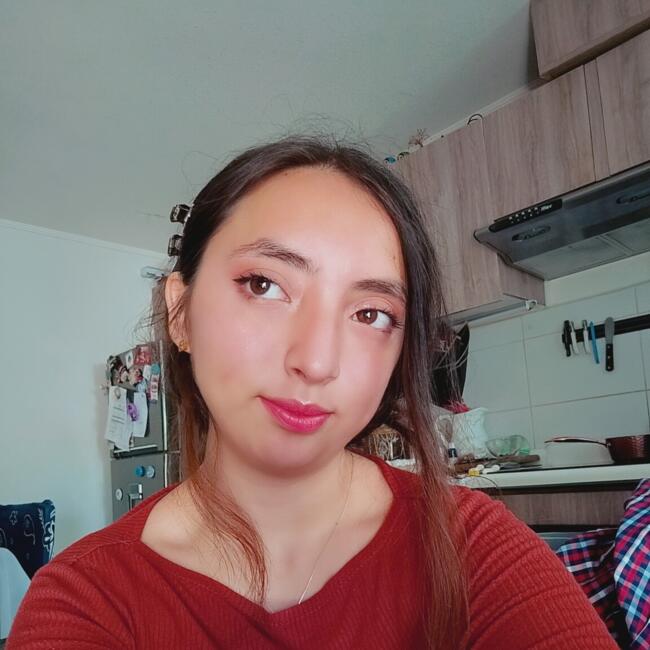 Babysitter in Rancagua: Trinidad