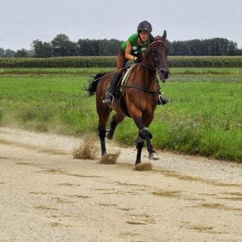 Varuške v mestu Občina Ivančna Gorica: Sandra