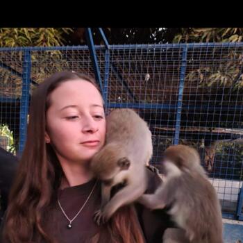 Babysitter in Léognan: Alizée