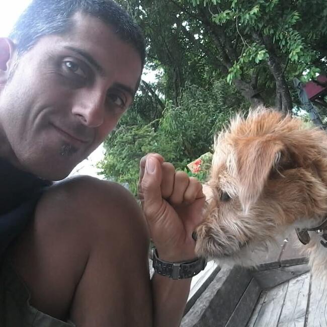 Canguro en Santa Cruz de Tenerife: Marco