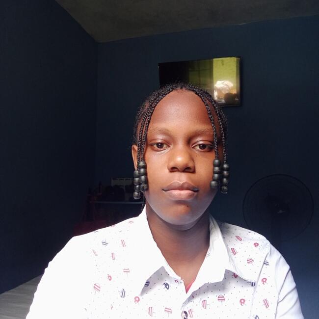 Babysitter in Bickersteth: Alexandria