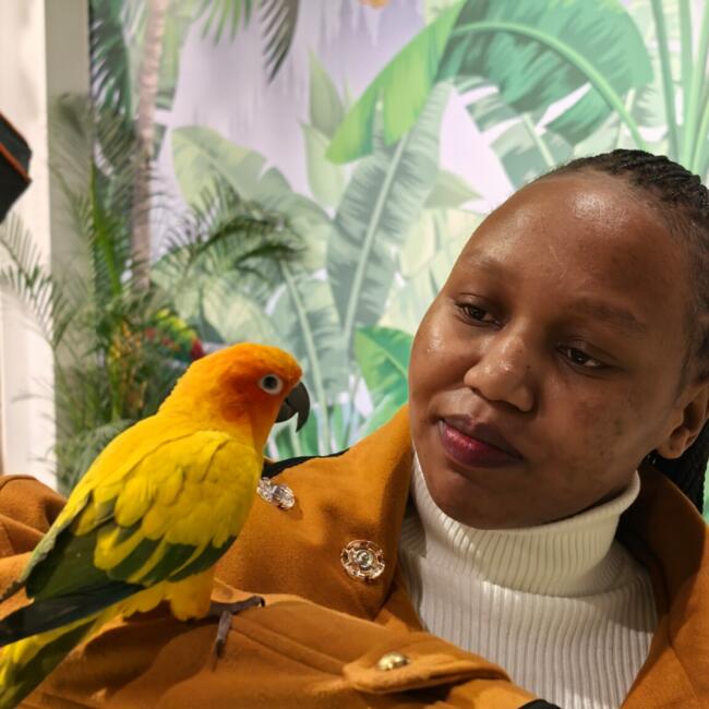 Babysitter in Riyadh: Mercy