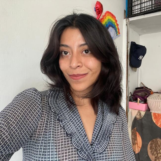 Babysitter in Guanajuato City: Karen