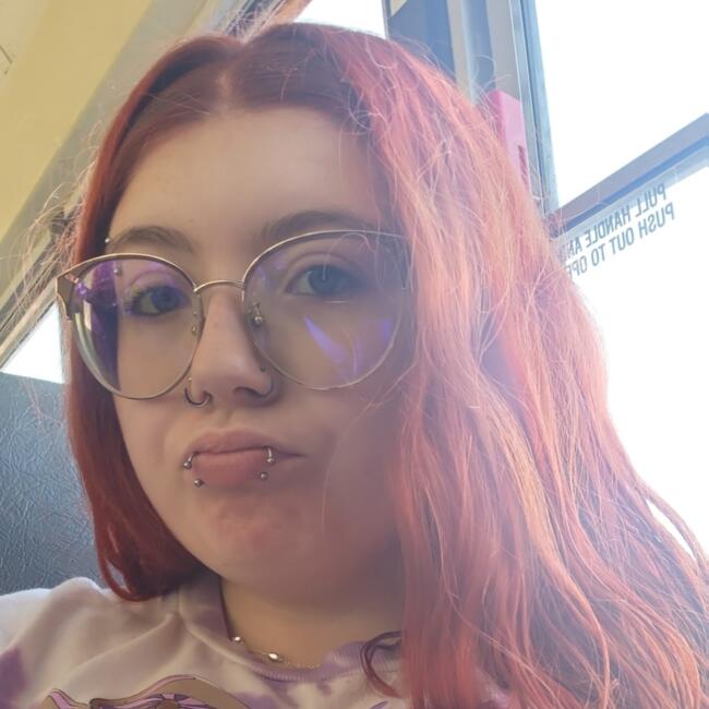 Babysitter in Antioch (Illinois): Ellianna