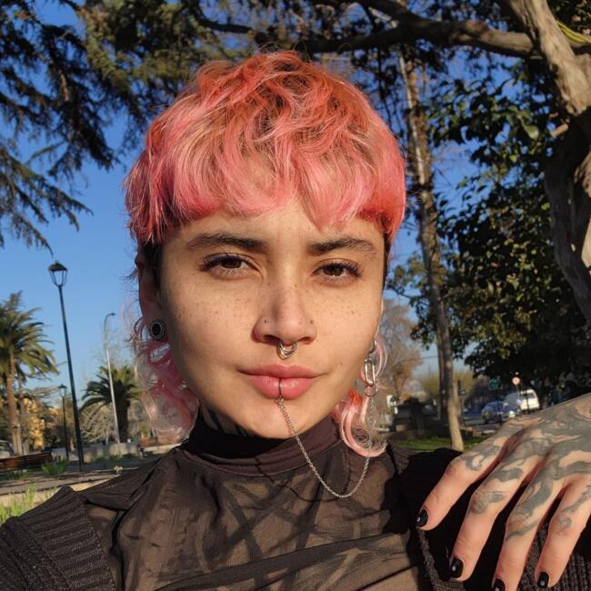 Niñera en Santiago de Chile: Valentina