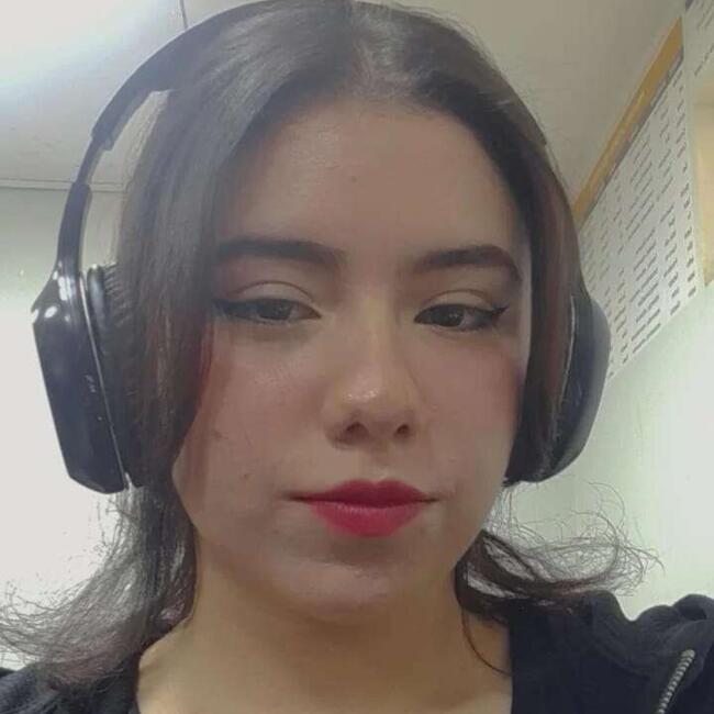 Babysitter in Chillán: Noelia