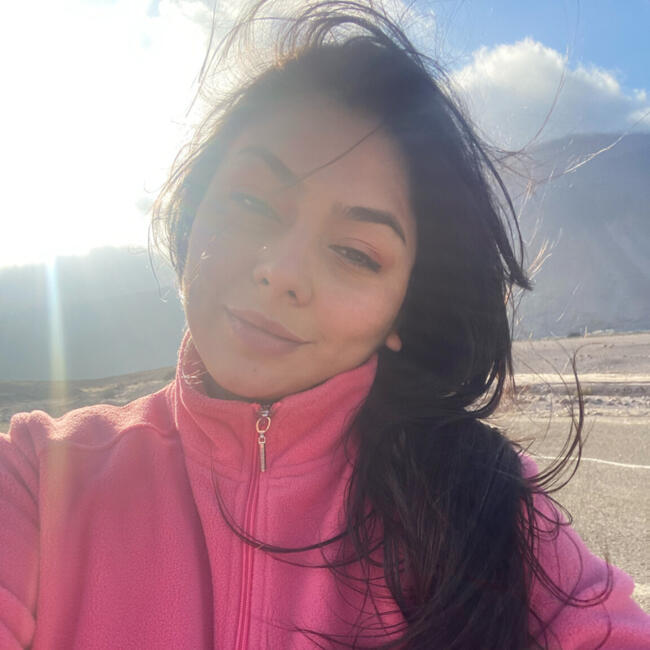 Babysitting job in Iquique: Inger