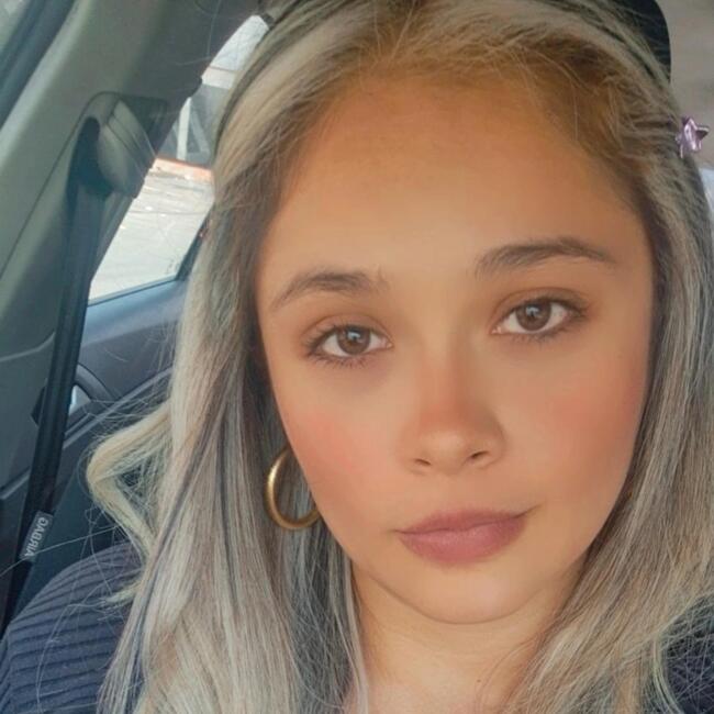 Babysitting job in Villavicencio: Diana