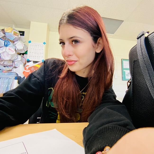 Babysitter in Oak Lawn: Alina