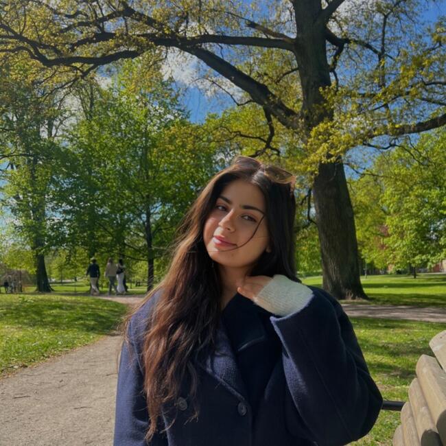 Babysitter in Västerås: Hidika