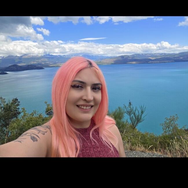 Niñera en Santiago de Chile: Susana