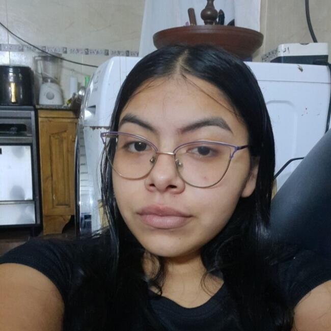 Babysitter in San Miguel de Tucumán: Camila