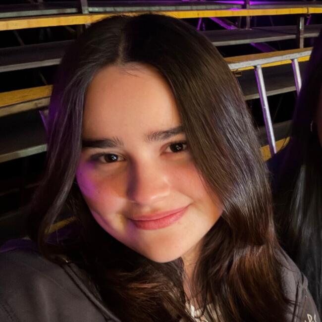 Babysitter in Antofagasta: Ashlee