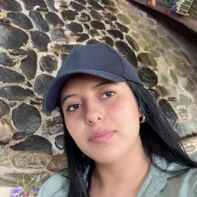 Babysitter in New Haven: Ileana