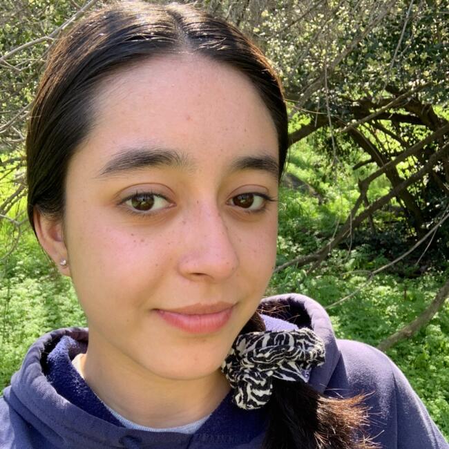 Babysitter in Rancagua: Beatriz