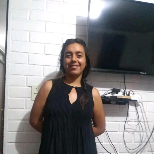 Babysitter in Santiago: Angélica